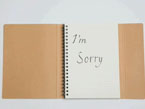 Sorry Letter