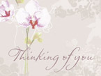 Thinking of You Memories